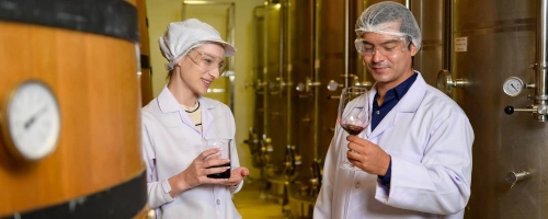 Diplomatura Universitaria en Enología y Dirección de Bodegas