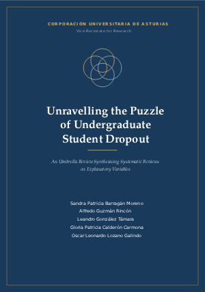 Unravelling the Puzzle of Undergraduate Student Dropout